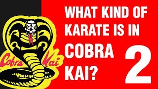 What Kind of Karate is in Cobra Kai? PART 2 | ART OF ONE DOJO