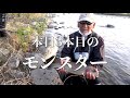 japanese wild rainbow trout fishing big！big！big！