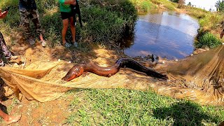 Primera pesca en Colombia pescamos anguilas gigantes eléctricas y muchos peces