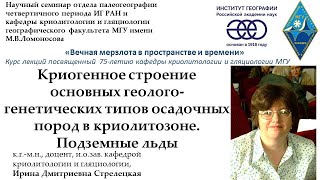 Криогенное строение осадочных пород в криолитозоне. Подземные льды. И.Д. Стрелецкая