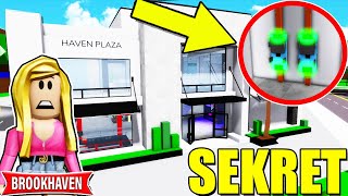 SEKRETY w NOWYM UPDATE w Brookhaven! 😃| Vito i Bella