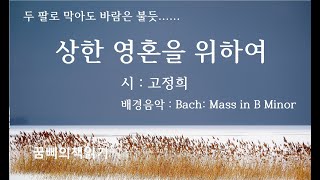 [시낭송] 상한 영혼을 위하여 * 고정희///배경음악 * Bach : Mass in B Minor * 주여 불쌍히 여겨 주소서/연주*김봉관