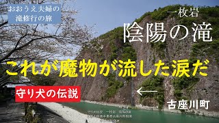 【おおうえ夫婦滝修行の旅】第72回「陰陽の滝」一枚岩　2021年3月29日　ニュース速報　桜と陰陽の滝のコラボ　和歌山県東牟婁郡古座川町相瀬　大上敬史　Takashi.Oue