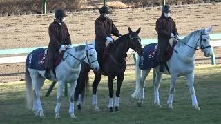 2022 第62回 京成杯 GⅢ 本馬場入場 現地映像  オニャンコポン