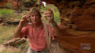 Austin Stevens Adventures - Australia's Lost Eden