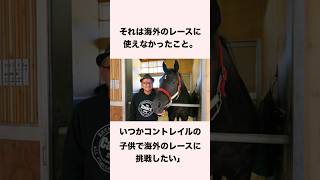 【 競馬 】コントレイルの雑学② 【 競馬の雑学 】【 ウマ娘 】 #競馬 #雑学 #コントレイル #ウマ娘 #shorts