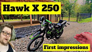 Hawk X 250 - Orion Powersports - Chinese junk or a solid Honda clone? 🤔🌻