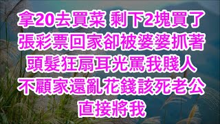 拿20去買菜 剩下2塊買了張彩票回家卻被婆婆抓著頭髮狂扇耳光罵我賤人 不顧家還亂花錢該死老公直接將我