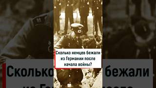 Сколько немцев бежало из Германии после начала войны? #вов #война #история #ссср