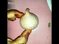 Traditional way of onion cutting /amazing cutting skills/ #shorts