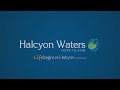 halcyon waters at hope island