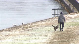 5日の新潟県内は寒気の影響などで冷え込み強まる　今季最低気温を更新する地点も　夜遅くにかけ落雷に注意 (25/01/05 12:28)