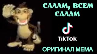 Салам, всем салам!👋 || Оригинал мема с макакой🐵