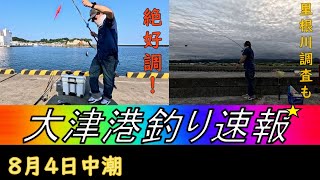 茨城県の釣り　大津港釣り速報（８月）