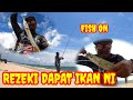 PERAMBUT TODAK PANCINGAN PANTAI MENJADI #fishing #surfcasting