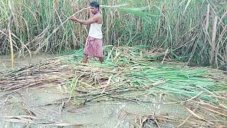 ⭐⭐ଜୟ ଜଗନ୍ନାଥ ଯଣେ କୃଷକ ତାର କ୍ଷେତରେ ପାଣି କାଦୁଅରେ କାମକରେ ଭିଡିଓ ଟି ଦେଖନ୍ତୁ 🙏🙏🙏