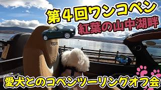 【コペンツーリングオフ会】山中湖の紅葉と富士山を楽しむ愛犬と参加できる【第四回 わんコペン】を開催しました！　la400k la400a l880k