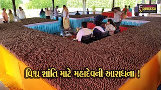 ભરૂચ: હાંસોટના ખરચ ગામ સ્થિત દત્તાશ્રય ધામમાં વિશ્વ શાંતિ માટે પાર્થેશ્વર શિવલિંગ પર અભિષેક કરાયો