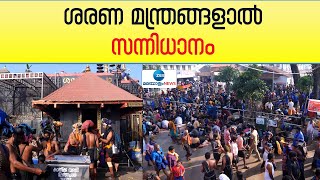 Sabarimala | Mandalakalam | ശബരിമലയിൽ ഇന്ന് അനുഭവപ്പെട്ട ഭക്തജനത്തിരക്ക് | Zee Malayalam News