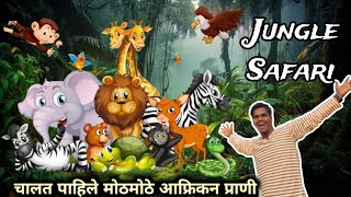 चालत पाहिले मोठमोठे अफ्रीकन प्राणी | मी घेतलेला सुंदर अनुभव  | Jungle Safari | Statue Of Unity 🤩