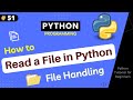 How to Read Files in Python ? File Handling in Python | Python Tutorial Part-51