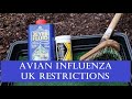 Avian Influenza UK Requirements from 14th Dec 2020: A Simple Guide