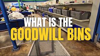 What is the Goodwill Outlet Bins and how does it work? • Thrift with me