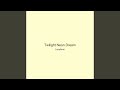 Twilight Neon Dream