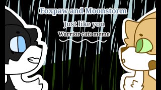 Just like you (Warrior cats meme (Moonstorm and Foxpaw) (LOOK IN DESCRIPTION)