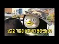 펭수🐧🌸 김명중사장님은 펭수꺼 ㅎ💖