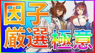 【ウマ娘】初心者～中級者に伝えたい因子厳選の極意【相性/因子厳選/ローテーション】