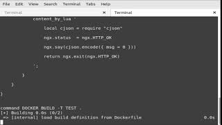 Programming {{ nginx embedded lua }} json number api