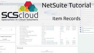 NetSuite Tutorial - Item Records