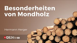 Die erstaunliche Wirkung von Mondholz | Berglodge37 | QS24 Gesundheitsfernsehen