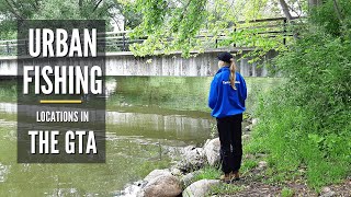 Marie Curtis Park, Etobicoke | Urban Fishing Locations in the GTA