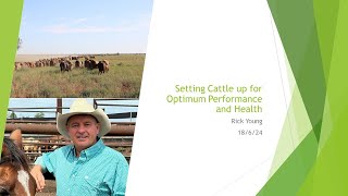 Preparation for Transport - setting cattle up for optimum performance and health