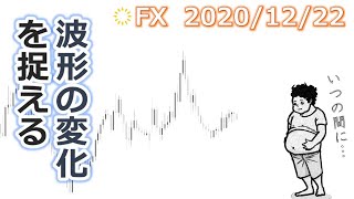 FX【ドル円予想】攻めにくい相場だがそれは何故なのか【201222ローソク足トレード手法】