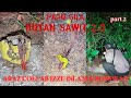 ( PUAKA HUTAN SAWIT 2.0 ) PARANORMAL ARAZZ COLLAB IZZUE ISLAM & BOSSWAN PARA PART 2/2