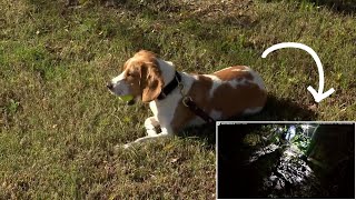 Newly Trained K9 Deputy Locates Missing Man