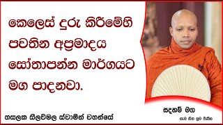 කෙලෙස් දුරු කිරීමේහි පවතින අප්‍රමාදය .817Ven Hasalaka Seelawimala Thero