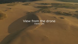 ドローンによる空撮 Drone Aerial / ドローンからの眺め　The view from the drone / 鳥取砂丘