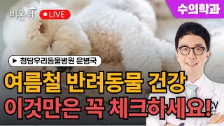 반려동물 여름철 건강관리 꿀팁! 이것만큼은 꼭 체크하세요! / 청담우리동물병원 윤병국