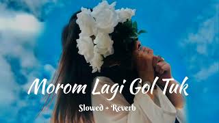 Morom Lagi Gol Tuk | Slowed And Reverb | Dipanwita Deka | Lo-Fi Song @AxomiaLofi #slowedreverb