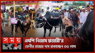 হাট কাঁপাতে ফেনীর বাজারে বাজারে ঘুরছে ফেনীর রাজা | Cow King Feni Bazar | Somoy TV