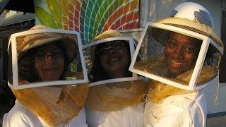 SciGirls 208: Bee Haven