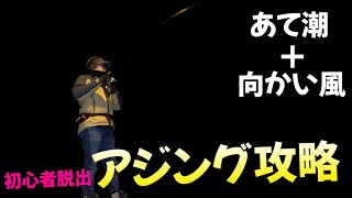 月+風＋あて潮アジング攻略！初心者でも釣れる風があるときの釣り方は簡単