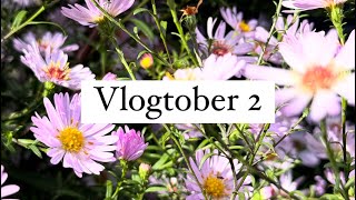 Vlogtober numéro 2 #vlogtober #vlogtober2024