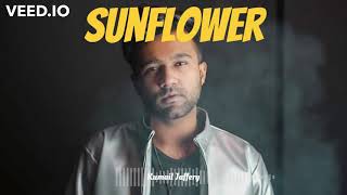 Sunflower- (Spider- Man: Into the Spider-Verse )| Kumail Jaffery | Post Malone, Swae Lee ( Cover )