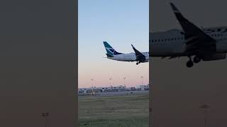 WestJet 737-700 - RARE Runway 11 Operations