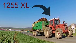 😱Le 1255 XL au FUMIER !!🐄 [GoPro]